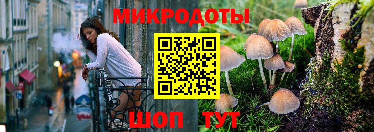Беслан  Псилоцибиновые грибы Psilocybine cubensis  Вход с VPN 